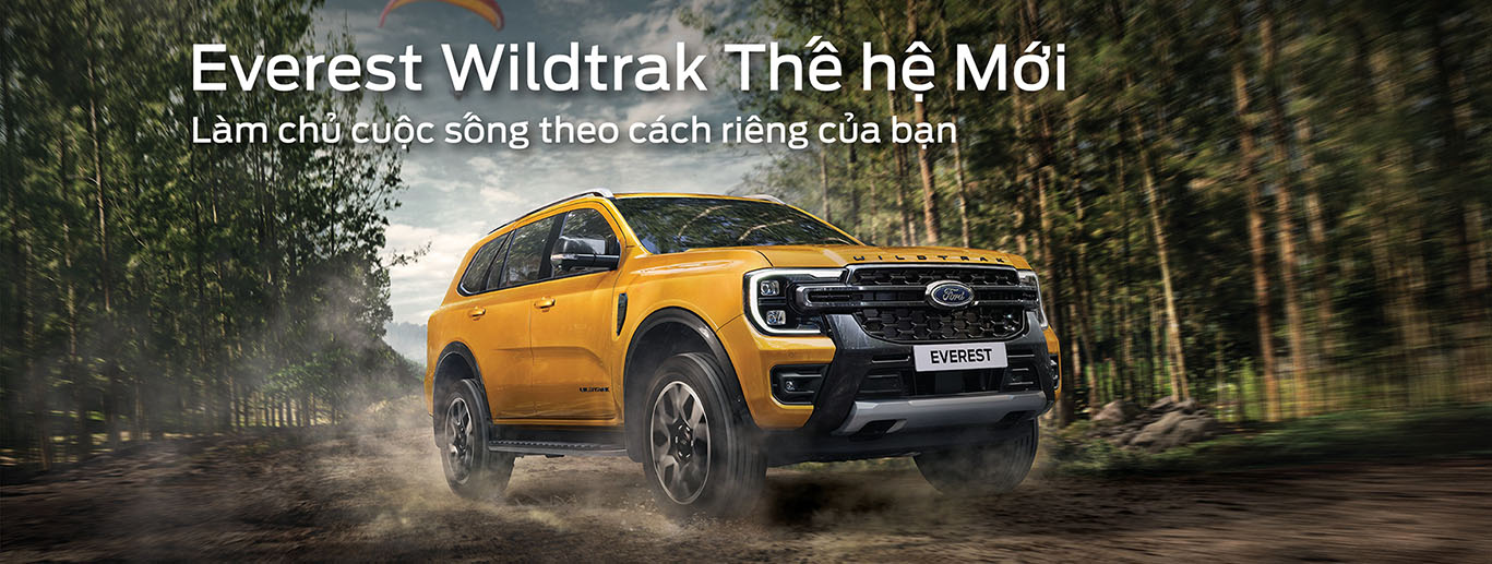 banner ford everest